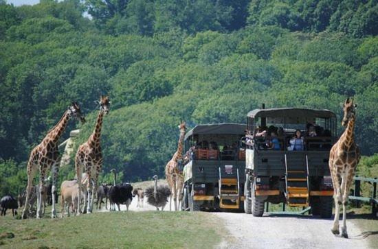 Country Coastal Holidays - Families And Couples Only